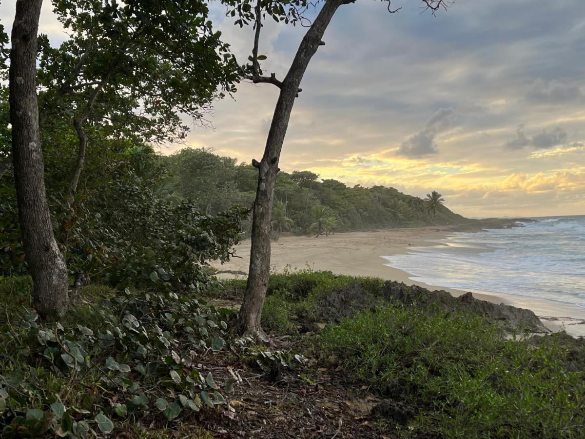 Beach Cabarete Ecolodge De Luxe Maravilla Encuentro Surf, Kite Ngoại thất bức ảnh