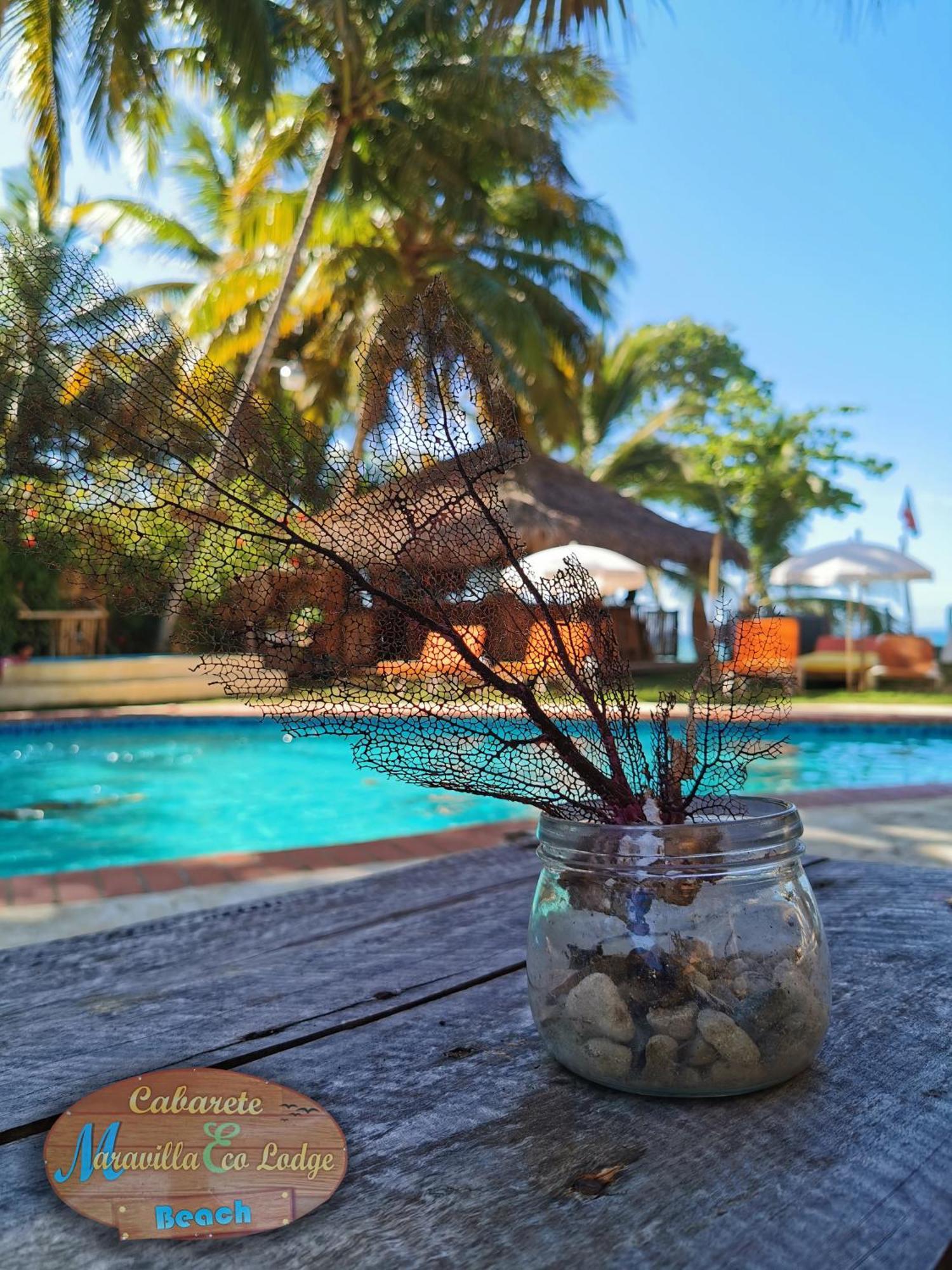 Beach Cabarete Ecolodge De Luxe Maravilla Encuentro Surf, Kite Ngoại thất bức ảnh